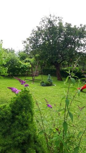 a garden with a tree and flowers and a swing at Silva House in Deva