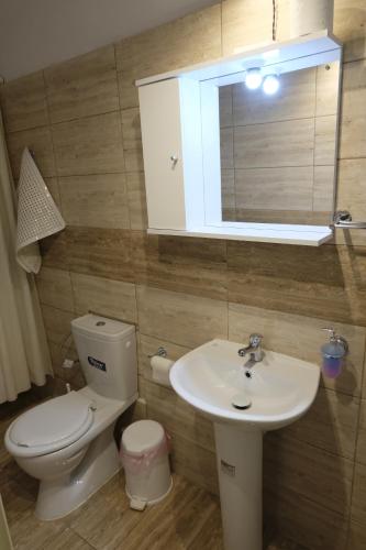 a bathroom with a toilet and a sink and a mirror at Taxiarchis Apartments in Skiathos
