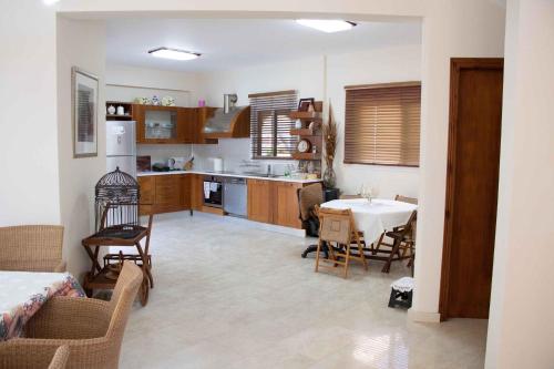 Η κουζίνα ή μικρή κουζίνα στο VillaHoliday