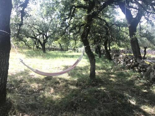 a hammock hanging from a tree in a field at Recanto da Serra in Porto de Mós