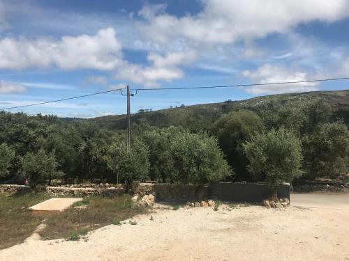 a dirt road with trees and a hill in the background at Recanto da Serra in Porto de Mós
