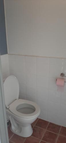 a bathroom with a toilet and a pink toilet paper roll at Le Papillon in Isserpent