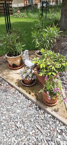 a group of potted plants and a bird in a garden at Le Papillon in Isserpent
