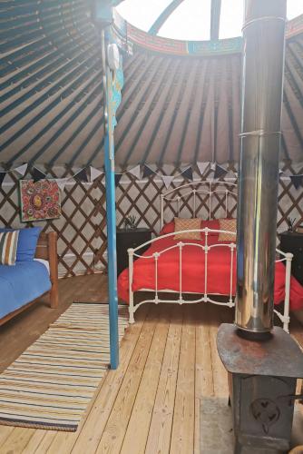 a room with a bed in a yurt at Glamping Yurts near Newquay in Newquay