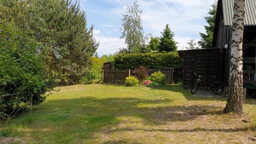a yard with a fence and a bike in the grass at domki nad jeziorem, las, do 10 osób jezioro Wilczyńskie Budzisławskie - domek letniskowy osobno ogrodzony, ogrzewany mile widziane pieski, zwierzeta- wielkopolska, 62-550 Zygmuntowo gm Wilczyn in Zygmuntowo