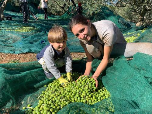 a woman and a child picking green fruit at MAXI SONCE, Odprte vasi in Prvačina