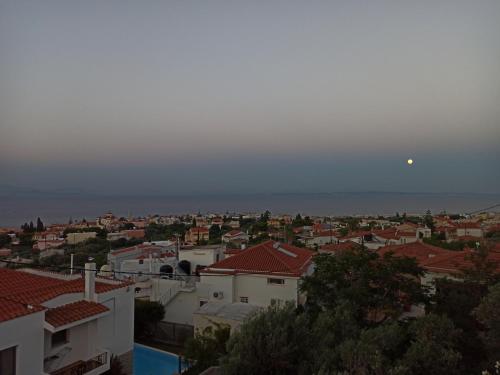 a view of a city with houses and the ocean at Maris full apartment with roof garden access in Chios