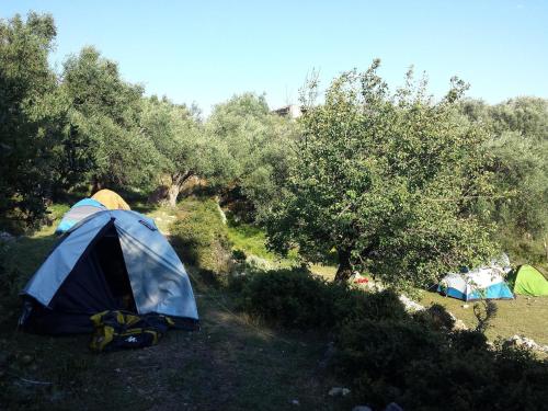 Gallery image of Shkolla Hostel & Camping in Vuno