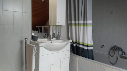 łazienka z umywalką i zasłoną prysznicową w obiekcie Balázs Apartman w Tihany