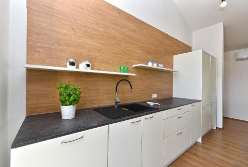 Kuchyň nebo kuchyňský kout v ubytování Villa Tamara 2044