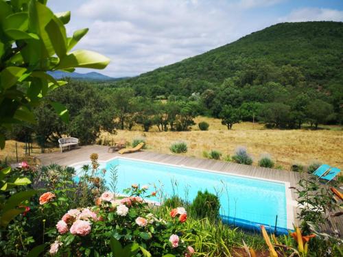 une piscine avec vue sur une montagne dans l'établissement Domaine de Montbarri, à La Tour-sur-Orb
