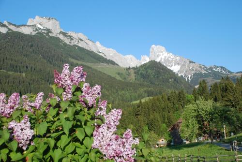 a bush of pink flowers with mountains in the background at Alpenhaus Donnerkogel in Annaberg im Lammertal