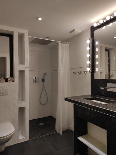 La salle de bains est pourvue d'un lavabo, de toilettes et d'un miroir. dans l'établissement Studio Bordeaux, à Bordeaux