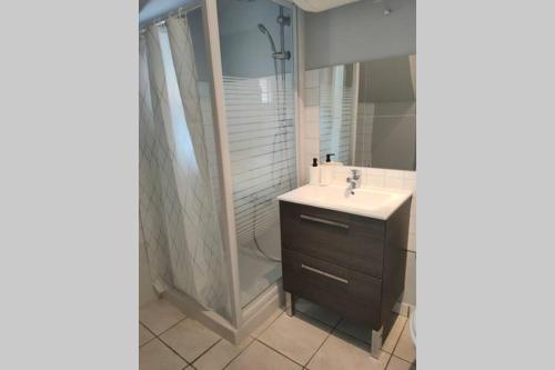 a bathroom with a sink and a shower at Le Studio La Plage à 350m Le Centre à 500m in Damgan
