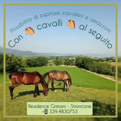 Animales en el departamento o alrededores