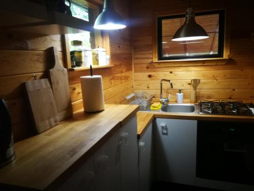 Kuchyň nebo kuchyňský kout v ubytování domki domek na jeziorem Wilczyńskim Budzisławskim , las, osobno ogrodzony 2-6 osób- klimatyzacja, ogrzewanie, 62-550 Zygmuntowo gm Wilczyn