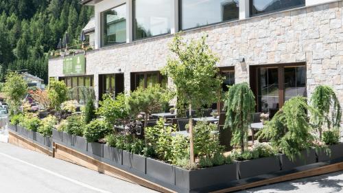 Taman di luar Wellnesshotel Mein Almhof Superior