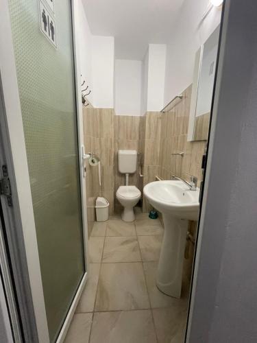 een badkamer met een toilet en een wastafel bij Apartament Sofia in Costinesti