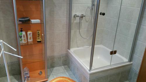 a shower with a glass door in a bathroom at Ferienwohnung am Süd-Schwarzwald 1 in Murg
