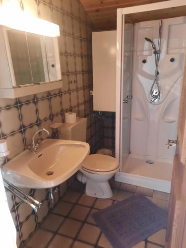 La salle de bains est pourvue d'un lavabo, de toilettes et d'une douche. dans l'établissement Hauserbauer - AusZEIT in Rauris, à Rauris