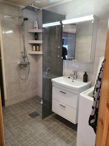 サーリセルカにあるRakovalkia Apartmentのバスルーム(シャワー、シンク、シャワー付)