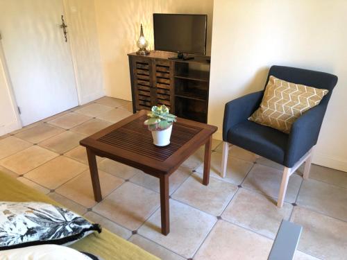 uma sala de estar com uma mesa e uma cadeira e uma televisão em Le Nid des Corbières em Bizanet
