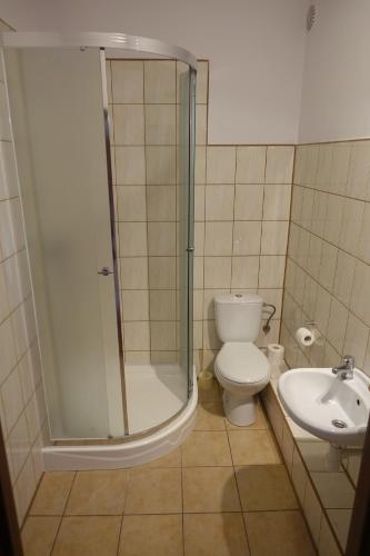 La salle de bains est pourvue d'une douche, de toilettes et d'un lavabo. dans l'établissement Leśny Dworek, 