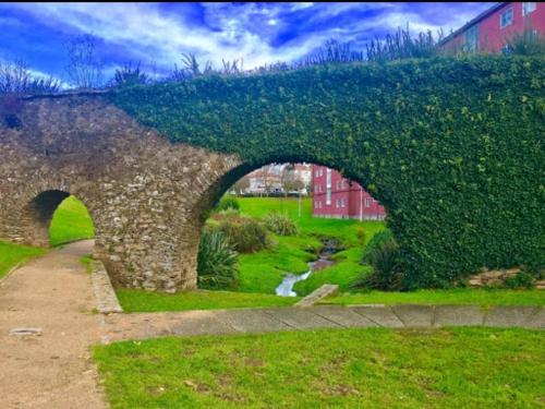 un ponte di pietra ricoperto di edera con un ruscello in un campo di piso María C a Santiago de Compostela