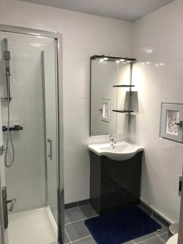 a bathroom with a sink and a shower at Saint Vincent in Bué
