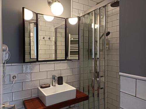 a bathroom with a sink and a shower at Pension Boutique Doña Urraca in Burgos