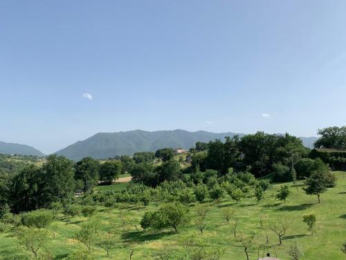 a field with trees and mountains in the background at RELAIS COLLE BUONO in Alvito