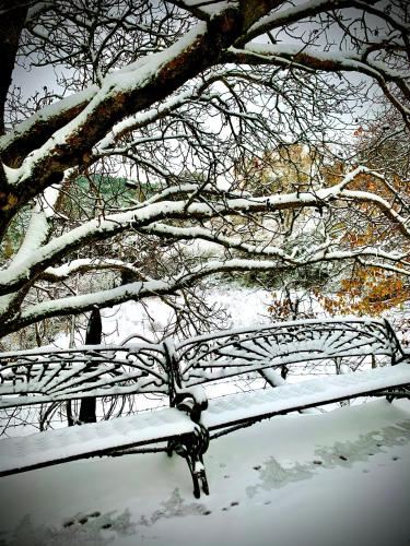 a bench covered in snow next to a tree at Casa Tatisita Family in Segura de la Sierra