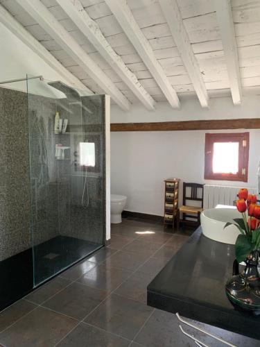 a bathroom with a glass shower and a toilet at Casa Tatisita Family in Segura de la Sierra