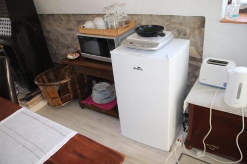 a microwave sitting on top of a refrigerator at Casa Tatisita Family in Segura de la Sierra