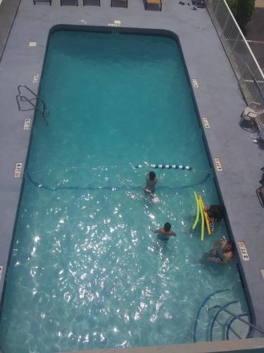 Kolam renang di atau dekat dengan The Virginian Motel