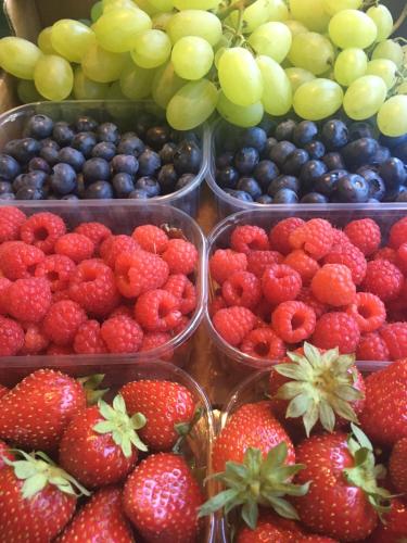 four plastic containers of strawberries and blueberries and grapes at Arya Alpine Lodge in Selva di Val Gardena