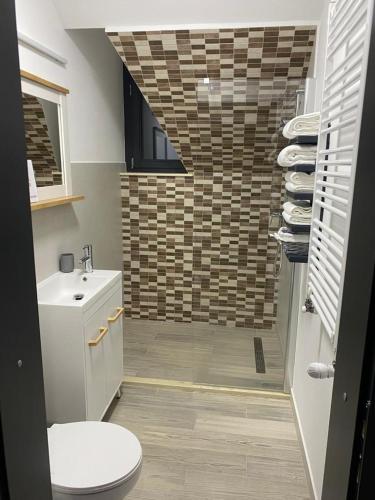 a bathroom with a shower and a toilet and a sink at Casa Bunicii in Şarul Dornei