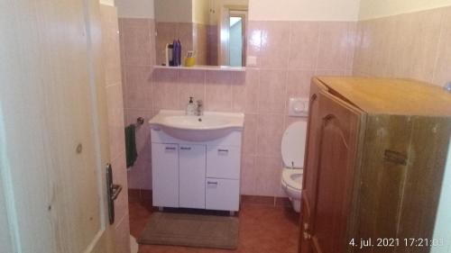 ein Bad mit einem Waschbecken und einem WC in der Unterkunft Holiday home Polsak in Planina