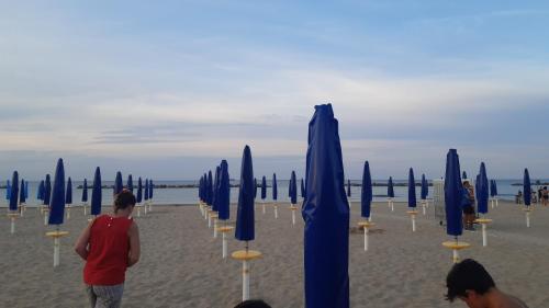 a group of blue umbrellas and chairs on a beach at A un Passetto dal Conero in Ancona