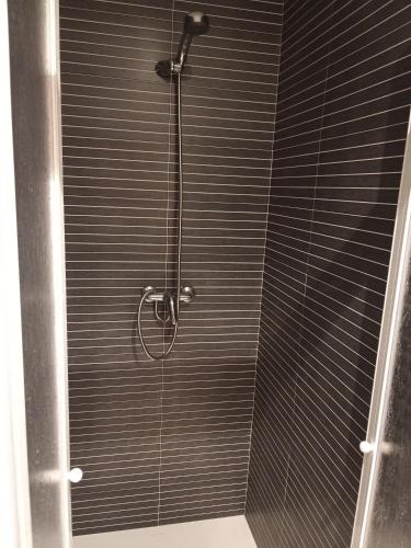 a shower in a bathroom with a glass door at Pensión KM66 Palas de Rei in Palas de Rei