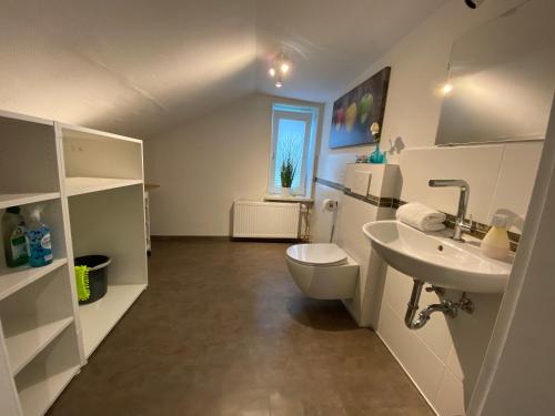 une salle de bains blanche avec toilettes et lavabo dans l'établissement Ferienwohnung Hohensee 1.OG, à Clausthal-Zellerfeld