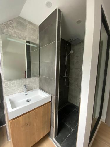 ein Badezimmer mit Waschbecken und Dusche in der Unterkunft Appartement vue Port in Boulogne-sur-Mer