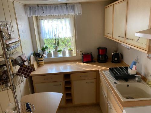 una pequeña cocina con fregadero y ventana en Waldidyll, en Plötzky