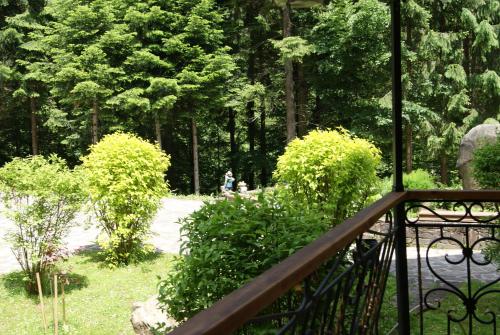 a view from a balcony of a park with trees at Hotel Dykyi Med in Tatariv