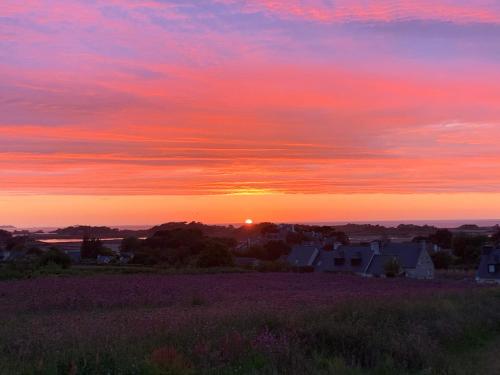 un coucher de soleil sur un champ de lavande dans l'établissement Les Villas d'Onalou - Bugueles, à Port-Blanc