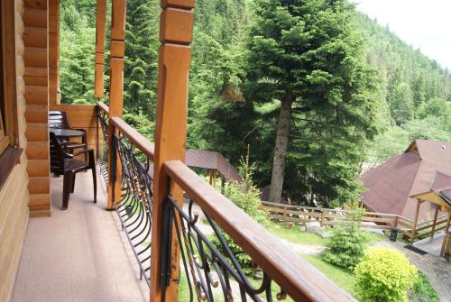 a balcony of a house with a view of trees at Hotel Dykyi Med in Tatariv