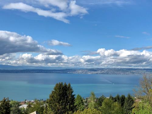 - une vue sur une grande étendue d'eau dans l'établissement Les Vies en Rose, à Évian-les-Bains