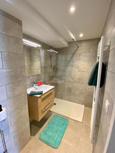 une salle de bain avec un lavabo et une douche dans l'établissement Les Vies en Rose, à Évian-les-Bains