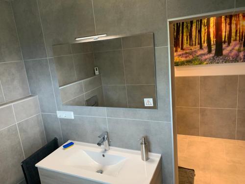 a bathroom with a sink and a mirror at Boardinghouse Saargau in Überherrn