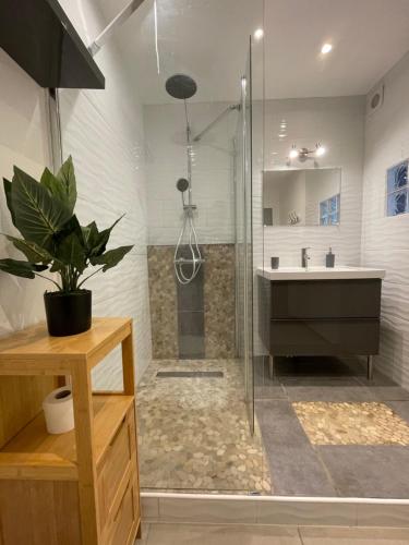 a bathroom with a shower and a sink and a toilet at Maison L'Aiguille - 2 appartements, 5 chambres et table d'hôtes au pied de la montagne à la station de Laye in Laye